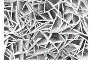 采用电沉积法制备三维花状碲化锌纳米材料的方法