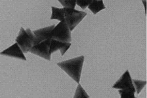 三角形铂纳米晶的制备方法