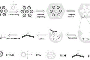 蛋白质酪氨酸磷酸化分子识别材料与方法