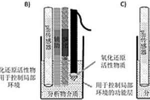 使用局部环境pH控制的参比电极