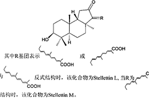 细薄星芒海绵中的一种三萜类抗肿瘤化合物及其制备方法