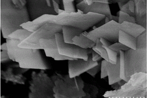 片状钛酸铋镧纳米晶及其制备方法
