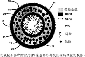 携氧的抗湍流的高密度亚微米颗粒的合成