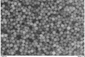 抗体标记的碳纳米颗粒的制备方法及使用其制备的早孕试纸条