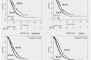 一组卵巢癌预后相关基因的应用