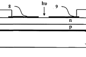 pn结MgxZn1-xO薄膜日盲区紫外探测器件