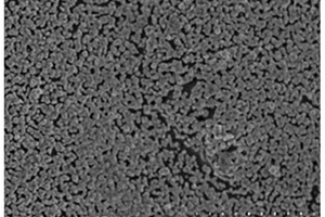 表面原位生长金属纳米粒子的钛基底及其应用