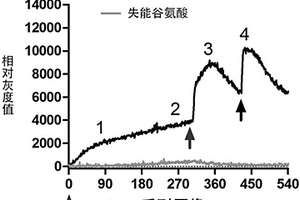 利用光合成反应增加生物分子量子能量共性技术的应用