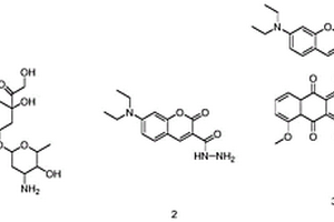 基于阿霉素药物的诊疗一体化荧光药物分子及其制备和应用