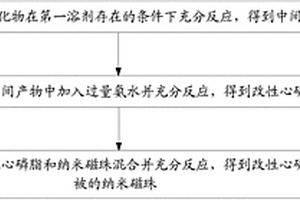 改性心磷脂包被的纳米磁珠及其制备方法