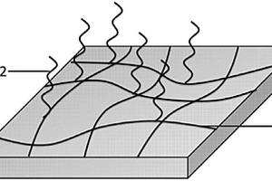 核酸修饰的纳米纤维光学传感器及其制备方法