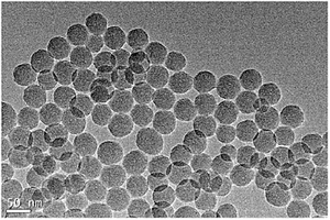 硒纳米传感材料及其制备方法