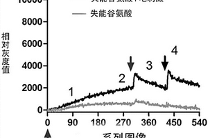 电刺激增加生物分子量子能量共性技术的应用