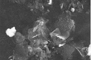 二硫化钼‑石墨烯复合纳米片的制备