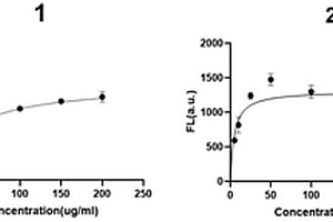 可特异性识别氟苯尼考及氟苯尼考胺的核酸适配体及其应用