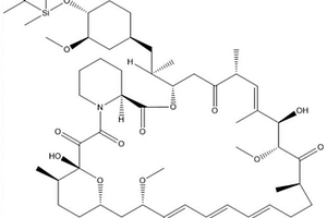 雷帕霉素硅醇酯及其制备方法和应用