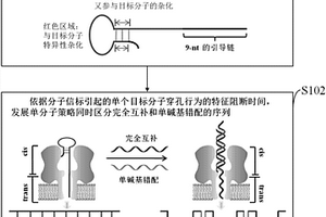 单分子水平同时区分单碱基错配的方法