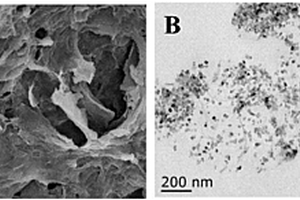 银‑二氧化钛负载的氮杂三维石墨烯气凝胶的制备方法及用途