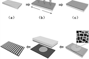 基于金银纳米砖的可控微纳阵列的构建方法及其应用