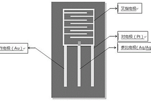 三电极共面集成的叉指电极的制备方法及应用