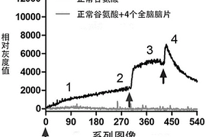 利用生物分子相互作用来降低生物分子量子能量共性技术的应用