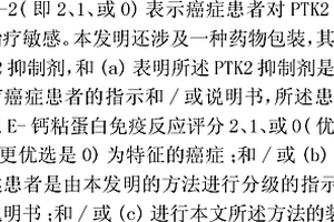 癌症患者对PTK2抑制剂治疗的敏感性分级