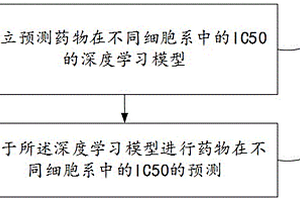 基于分子结构及基因表达的药物IC50深度学习模型预测方法