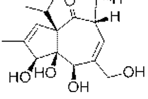 巨大戟醇的快速鉴别方法