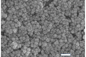 金纳米粒子/氮掺杂石墨烯量子点纳米复合材料、传感电极及其制备方法和应用