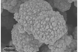 西兰花状微纳米银的制备方法及其应用