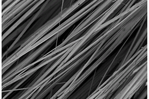 一维硫碘化锑半导体纳米线光电探测器及其制备方法