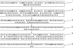 基于投影邻域非负矩阵分解的lncRNA蛋白质关联预测方法