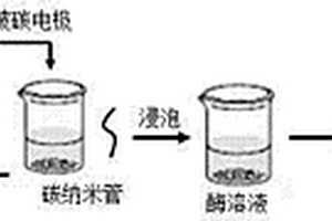 基于石墨烯/碳纳米管的生物传感器的制备方法