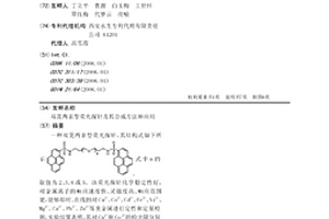 双芘两亲型荧光探针及其合成方法和应用