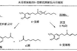 生姜提取物制剂