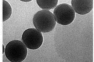 表面富含羧基的荧光微球及其合成方法