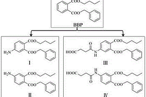 两组邻苯二甲酸丁苄酯半抗原的合成方法