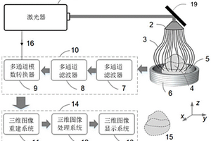 光声成像系统及方法