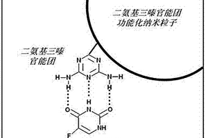 二氨基三嗪官能团功能化纳米粒子及其制备和使用方法