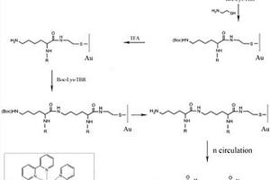 三联吡啶钌‑赖氨酸聚合物固相合成方法