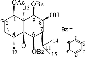 苍耳七中2-酮型-β-二氢沉香呋喃倍半萜类化合物其制备方法及应用