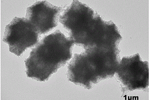 磁性氮掺杂氧化碳纳米管材料及其制备方法和应用
