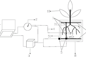 绘制根际平面pH分布图的装置及方法