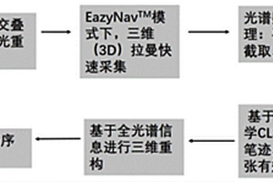 利用全局三维（3D）拉曼光谱成像技术鉴定朱墨顺序的方法