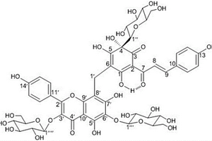 具有抗肿瘤活性和抗炎活性的醌式查尔酮与黄酮醇结合物及其制备方法和应用