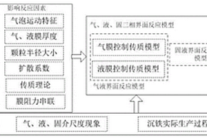 针铁矿法沉铁过程界面反应模型的建立方法及应用