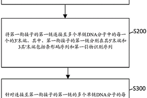 构建核酸文库的方法和试剂盒