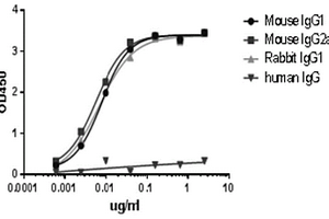 micropolymer-HRP-纳米抗体复合物及其制备方法