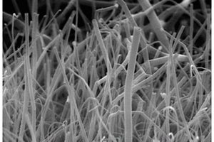 钴氮共掺杂碳纳米管修饰石墨烯纤维、其制备和应用
