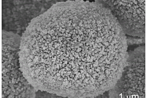 离子交换聚合物微球及合成方法